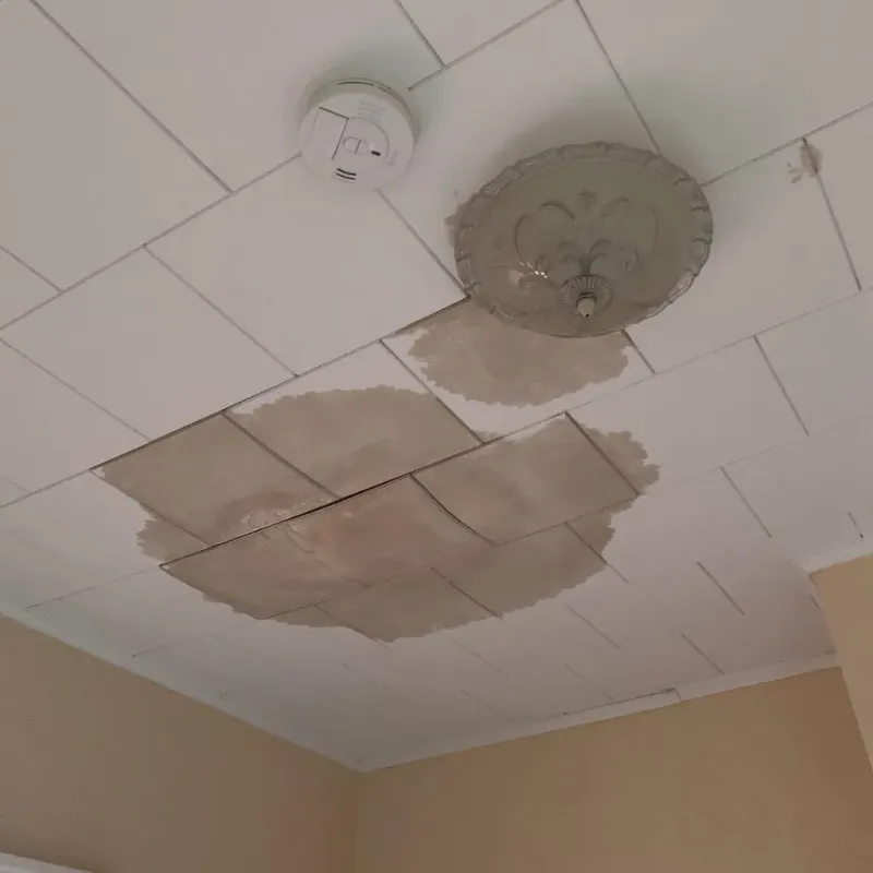 Ceiling Water Damage Repair in Haskell County, TX