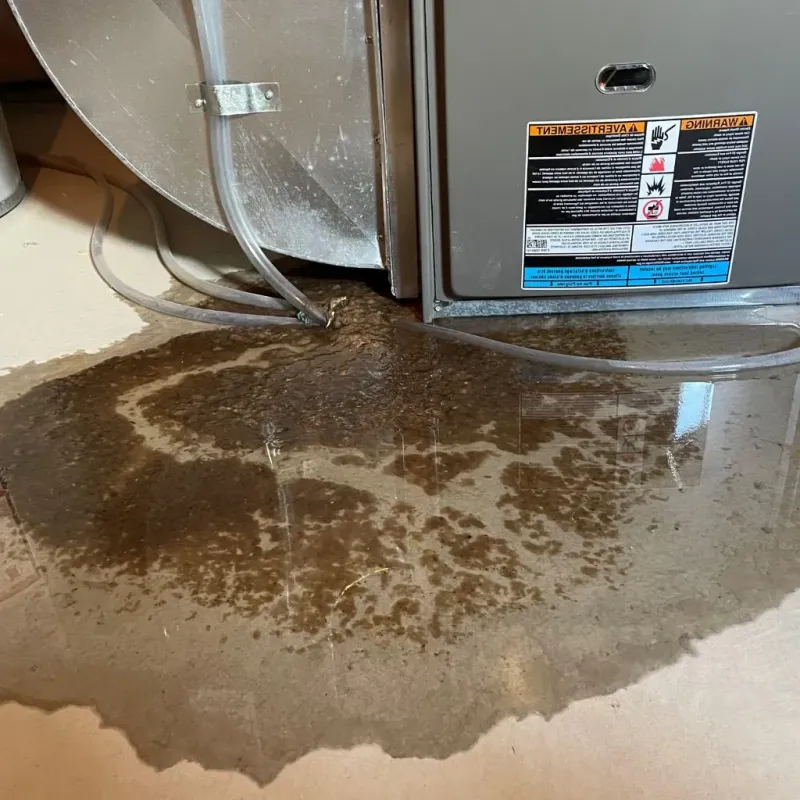 Pipe Burst and Leak Restoration in Haskell County, TX