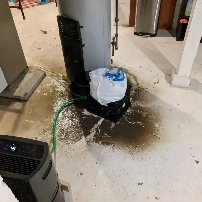 Sewage Backup Cleanup Service in Haskell County, TX